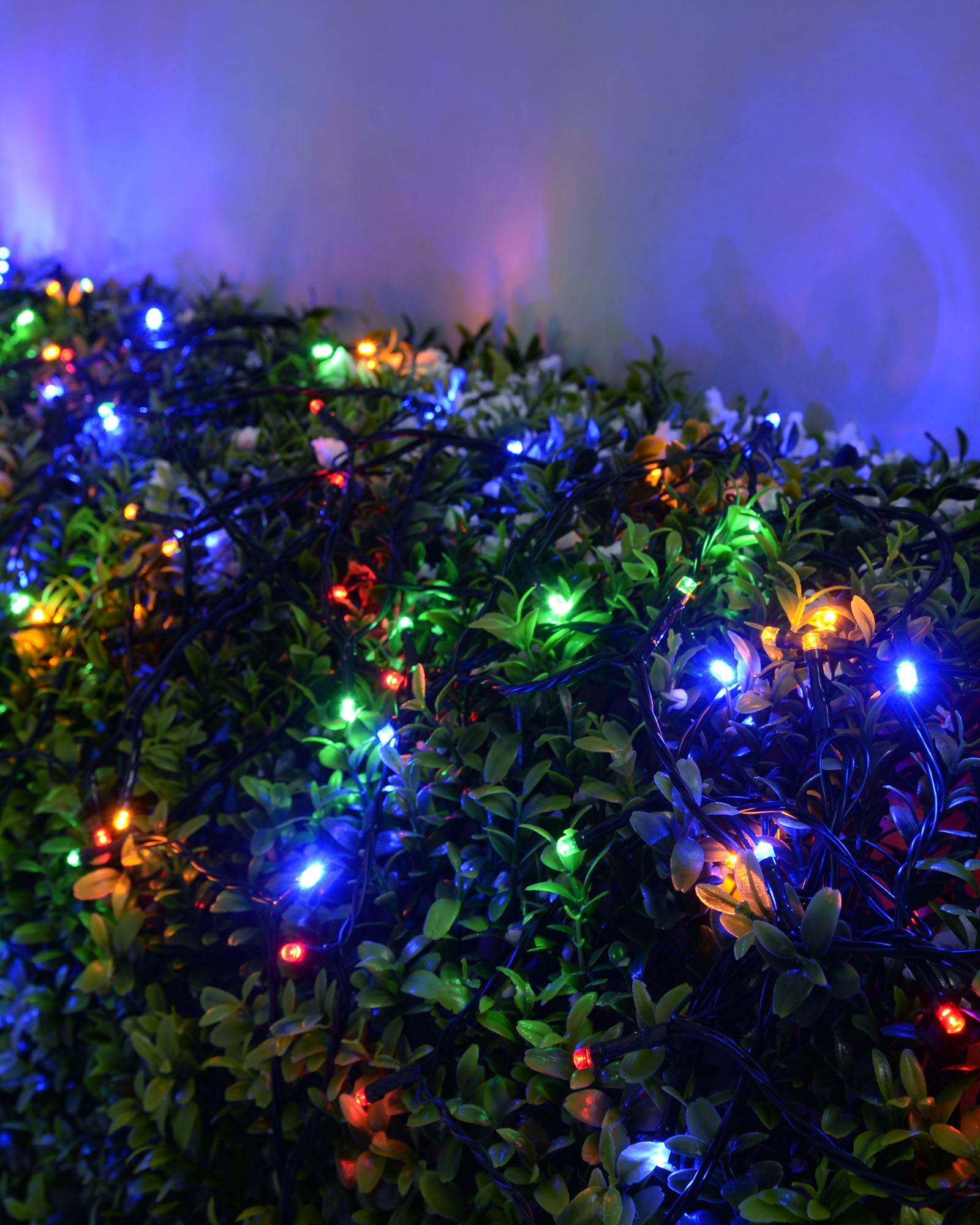 200 LED multi-coloured light string arranged across a garden hedge