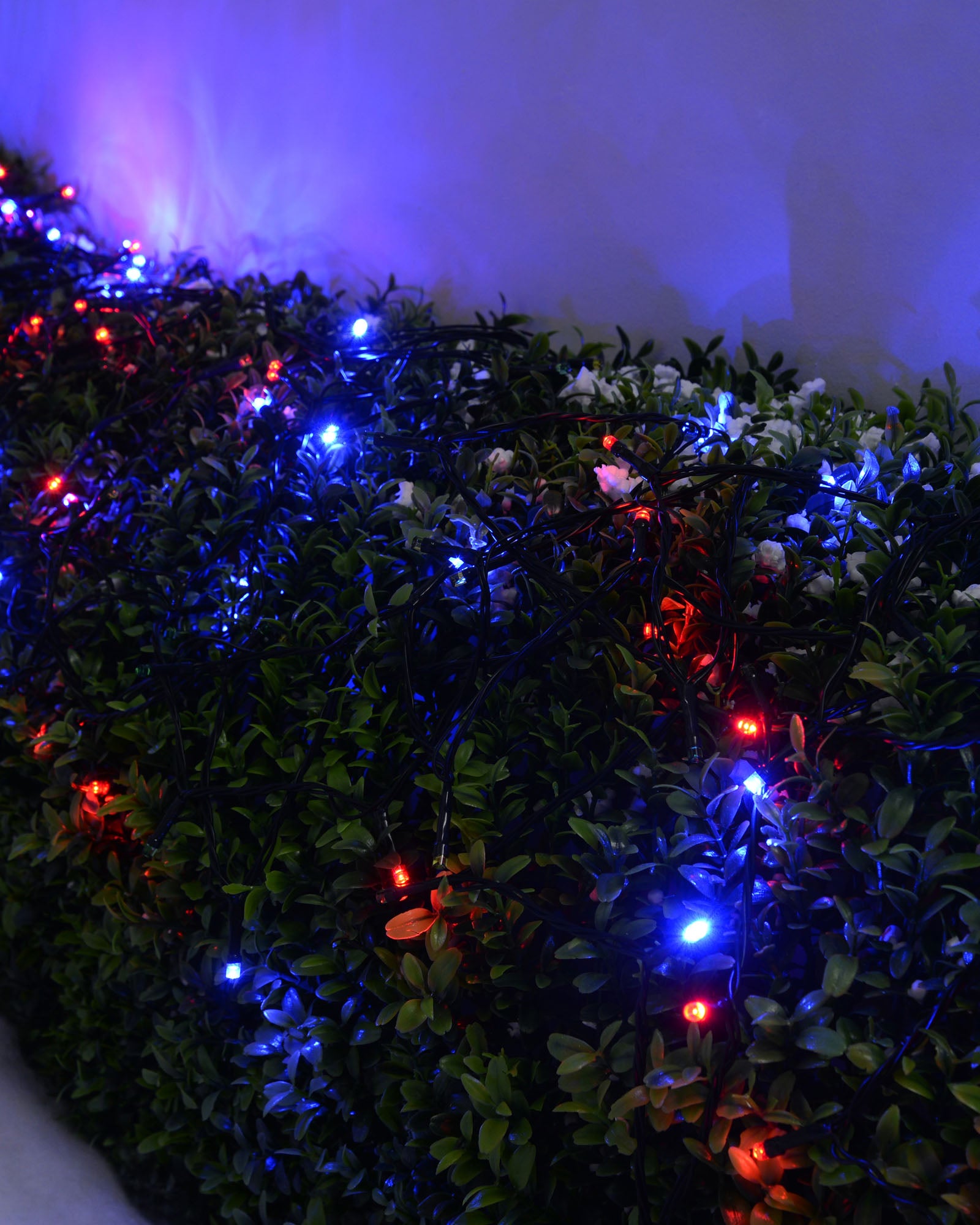 200 LED multi-coloured light string glowing across a garden hedge