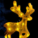 Pre-Lit Acrylic Reindeer, 28 cm