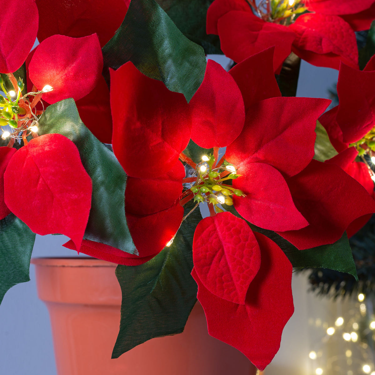 Pre-Lit Poinsettia Flowerpot Plant, 45 cm