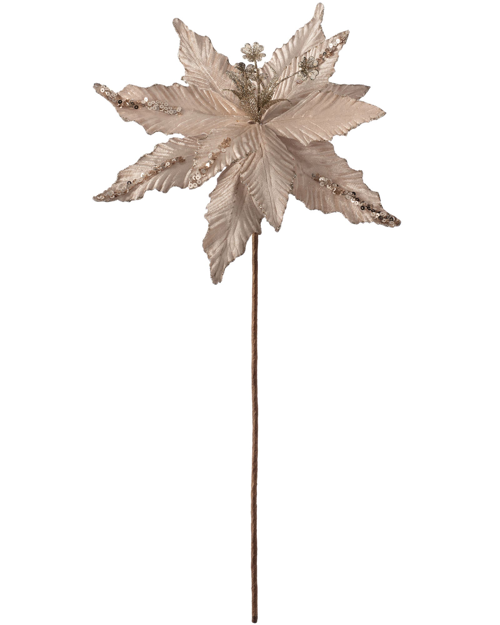 Artificial Poinsettia Flower, Champagne, 32 cm