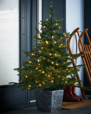 4 ft pre-lit Grand Fir potted Christmas tree with mixed PE and PVC tips, illuminated by 100 warm white chasing LED lights, standing in a cozy home setting.