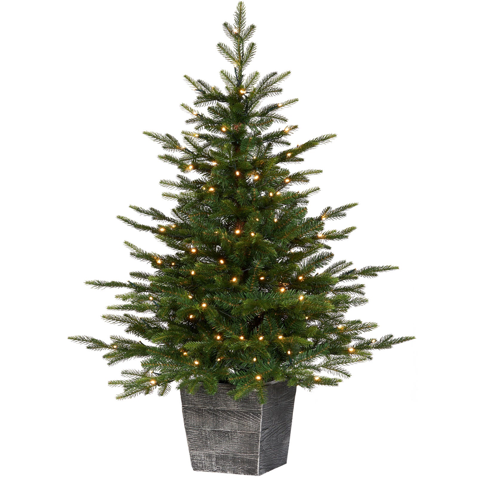 4 ft pre-lit Grand Fir potted Christmas tree with mixed PE and PVC tips, illuminated by 100 warm white chasing LED lights, standing in a cozy home setting.